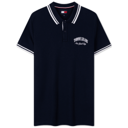 TOMMY HILFIGER 蜂窝网眼 男士POLO衫