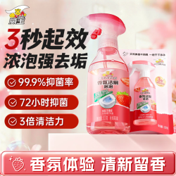 威王 净大师洁厕灵香氛泡泡 300g*2 马桶厕所清洁剂液