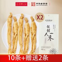 采芝林 足龄新鲜 人参