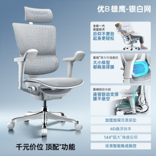 移动端、京东百亿补贴：Ergonor 保友 优b雄鹰 人体工学电脑椅 银白网 可旋转可升降扶手