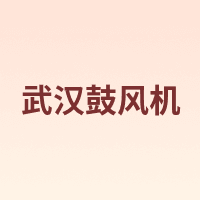 武汉鼓风机