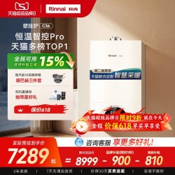 林内 壁挂炉天然气家用锅炉地暖暖气采暖炉两用C36
