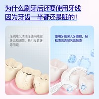 Saky/舒客 牙线棒