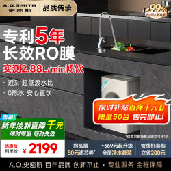 A.O.SMITH 佳尼特净水器厨房专用台下直饮净水机家用过滤器大眼萌2600升级专利5年RO膜 5年长效RO膜