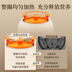 荣事达 全玻璃养生壶恒温家用多功能烧水壶 加厚全玻璃0胶水0涂层 0.6L