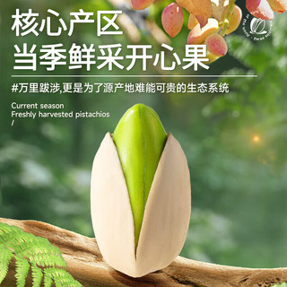  Three Squirrels/三只松鼠 大颗粒 开心果