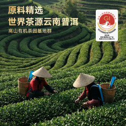 京东京造 醇净之味 有机普洱熟茶