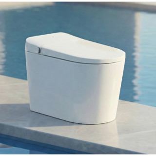 国家补贴：京东京造 黑鲸 全智能马桶