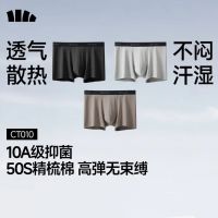 蕉下 男士50S精梳棉内裤 3条装 新款