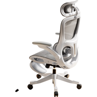 国家补贴：黑白调 人体工学椅  P2Pro+二代霜白无脚托