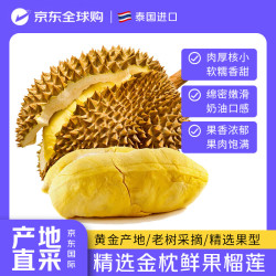 UGLI 泰国进口金枕榴莲鲜果 净重8-10斤（2-4个果）