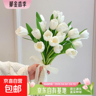 移动端、京东百亿补贴：随机色云南源头直发 郁金香鲜花20枝