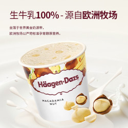 哈根达斯 夏威夷果薄脆冰淇淋460ML