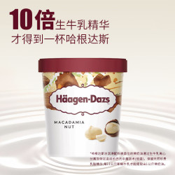 哈根达斯 夏威夷果脆皮冰淇淋