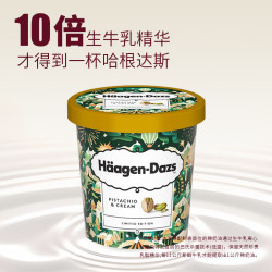 哈根达斯 开心果味冰激淋420ml/盒