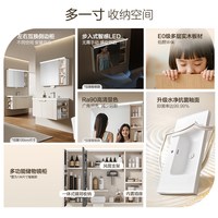  HEGII/恒洁 政府补贴 浴室柜 陶瓷一体盆 多层实木洗台盆手盆柜