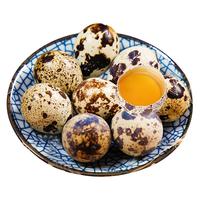  豫宛农夫 杂粮喂养 鹌鹑蛋