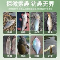  劲战鲤 便携 儿童溪流竿