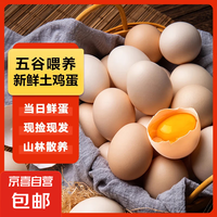 移动端、京东百亿补贴：京喜加 鲜鸡蛋 山林自养鸡蛋 400g