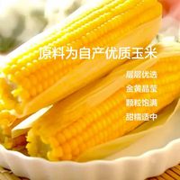 珍小面 纯东北玉米面条 500g*3袋