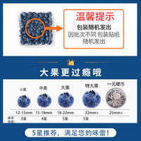 Brangdy 云南花香蓝莓 时令应季蓝莓当季新鲜水果整箱 净重100*6盒