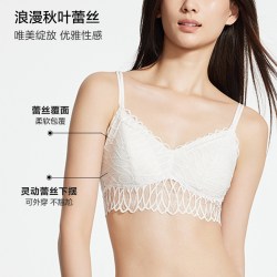 维密 无钢圈 女士文胸