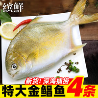  缤鲜 新鲜海捕 金鲳鱼