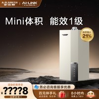 A.O.SMITH AO史密斯燃气壁挂炉天然气家用采暖小巧冷凝锅炉E10M