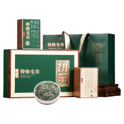闽大师 嫩芽春茶 信阳毛尖绿茶 礼盒装200g