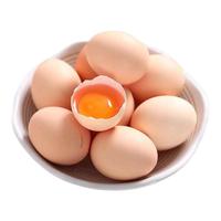  耕果妙 营养丰富 土鸡蛋