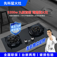 先科 2026九腔鸳鸯猛火家用天然气液化气燃气灶煤气灶双灶
