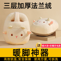 飞人 暖脚宝插电加热鞋充电办公室取暖加热暖手宝冬天家用脚冷暖脚神器