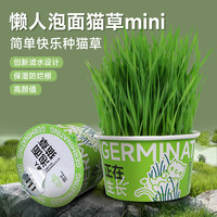 哈仔 懒人泡面猫草创新滤水设计猫咪零食化毛排毛球懒人猫草mini