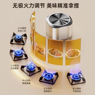 能率 JZT-EZ01 不锈钢双灶嵌入式燃气灶