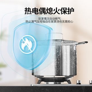 前锋 JZT-ZD205-X 双灶嵌入式天然气燃气灶