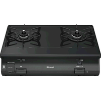  Rinnai 双头 燃气灶