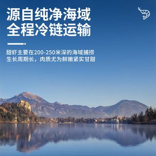  掬芥 即食 北极甜虾