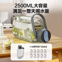 百亿补贴：苏泊尔 冷水壶 家用大容量冰箱凉水壶