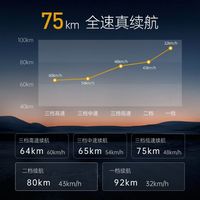 LUYUAN/绿源 智能液冷电机 电动摩托车