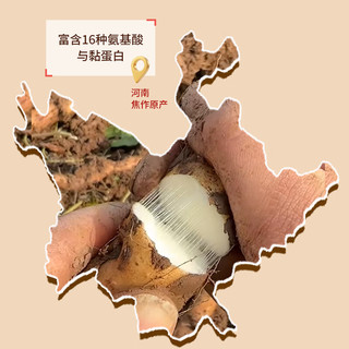  裕百年 怀山药粉