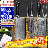 CAEO 日本大马士革钢菜刀厨刀全套家用厨具不锈钢刀具德国厨师厨房套装 青龙砍骨+中式+主厨+水果- 4件套