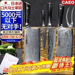 CAEO 日本大马士革钢菜刀厨刀全套家用厨具不锈钢刀具德国厨师厨房套装 青龙砍骨+中式+主厨+水果- 4件套