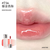 酵色 粉雾唇釉唇泥哑光雾面口红