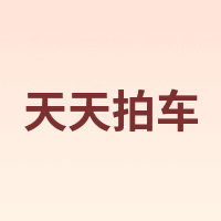 天天拍车