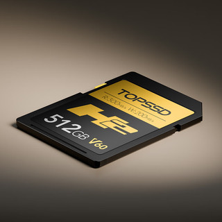  TOPSSD/天硕 300MB/s SD卡