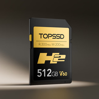  TOPSSD/天硕 300MB/s SD卡