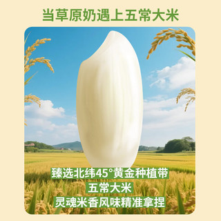  东北大板 冰淇淋