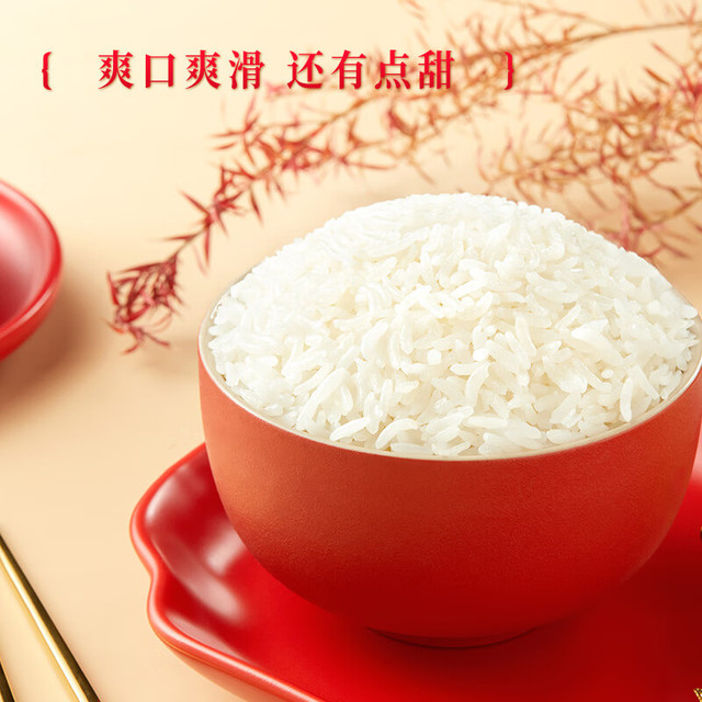 十月稻田 五常大米 东北大米 礼盒 10斤（节日礼盒 公司团购 2斤*5盒）