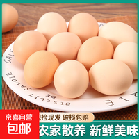 京喜 合味君鲜鸡蛋 富硒鸡蛋  50g左右*10枚