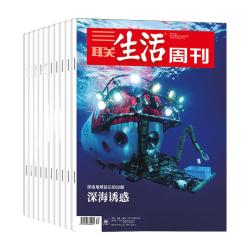 三联生活周刊 三联生活周刊2026年全年杂志订阅 共52期（月寄）